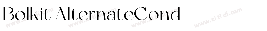 Bolkit AlternateCond字体转换